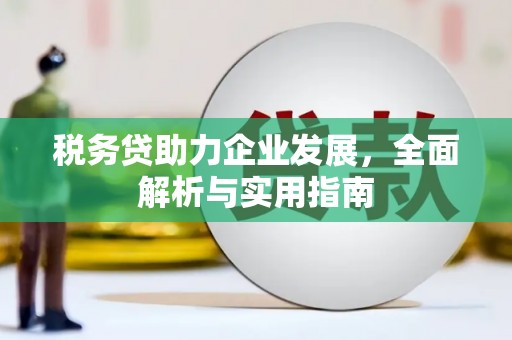 枣强税务贷助力企业发展，全面解析与实用指南