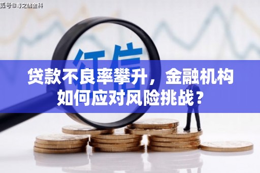 和顺贷款不良率攀升，金融机构如何应对风险挑战？