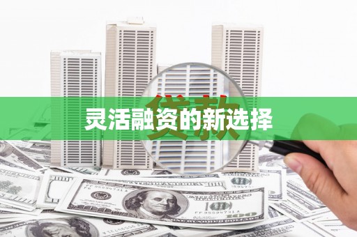 阜康灵活融资的新选择