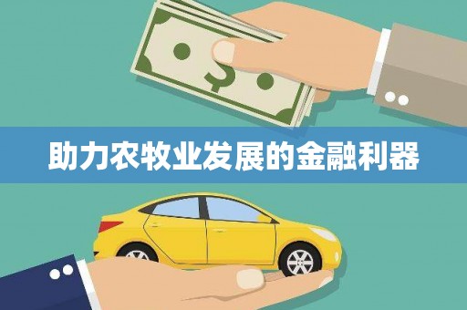 中卫助力农牧业发展的金融利器