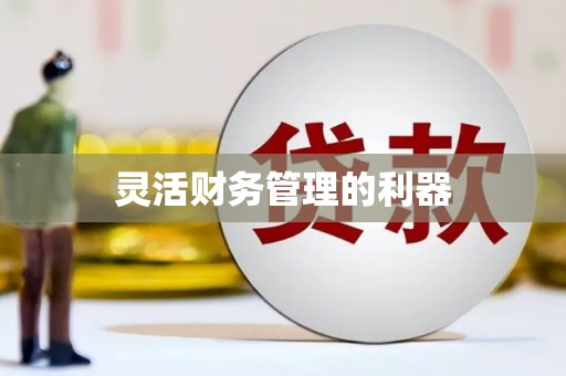 美浓灵活财务管理的利器