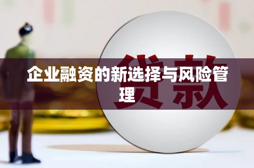 康保企业融资的新选择与风险管理
