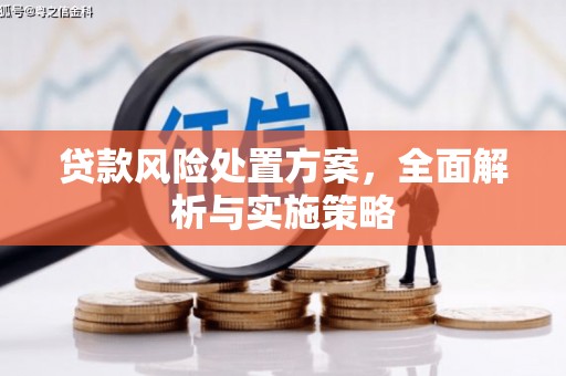 文峰贷款风险处置方案，全面解析与实施策略