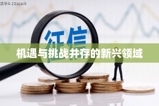 盈江机遇与挑战并存的新兴领域