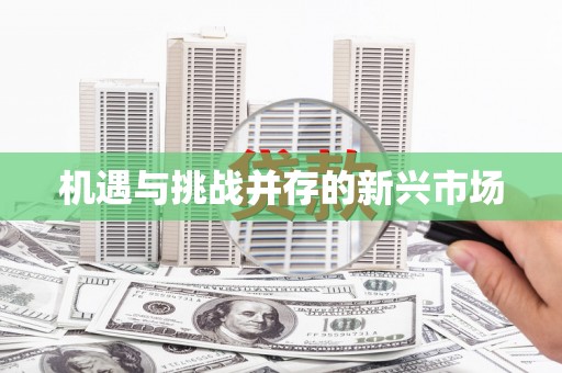 林芝机遇与挑战并存的新兴市场