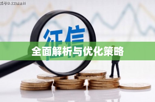 麻城全面解析与优化策略
