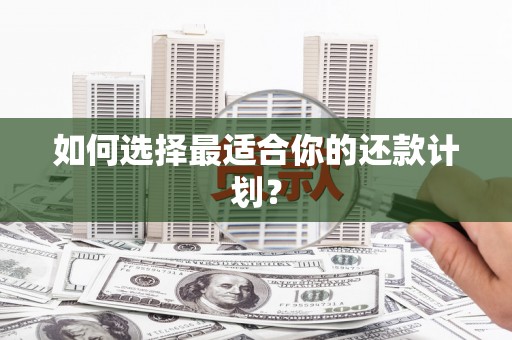 南华如何选择最适合你的还款计划？