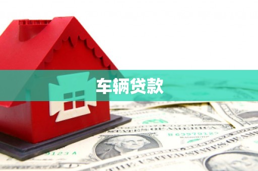 沙雅车辆贷款