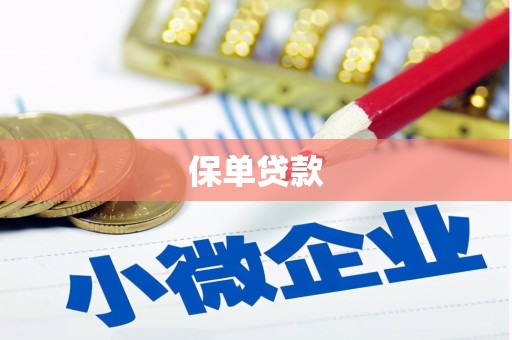 惠山保单贷款 惠山保单贷款